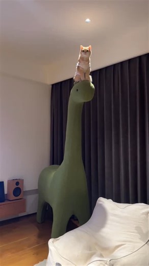 Kzlaa | Paw time 🐾🥰🥰 - 👉Link in bio ✅ Check my BIO link for products of interest. Some discount codes are available. 🔍 - #cats_of_instagram... | Instagram