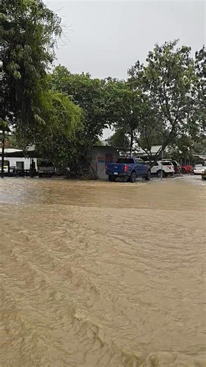 #ActualidadRP Calles convertidas en ríos en Colonia Palermo, El Progreso, Yoro. #Lluvias #ElProgreso #Honduras | Radio Progreso | Página Oficial
