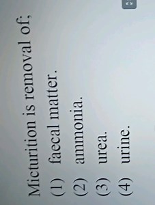 Micturition is removal of;(1) faecal matter.(2) ammonia.(3) ... | Filo
