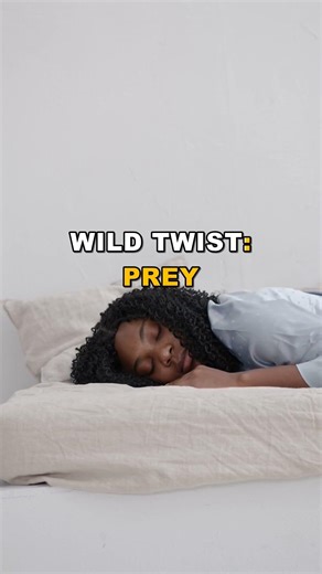Do Antelopes Actually Dream? Nighttime Secrets Revealed