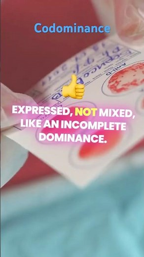 Both trait shine equally - Codominance