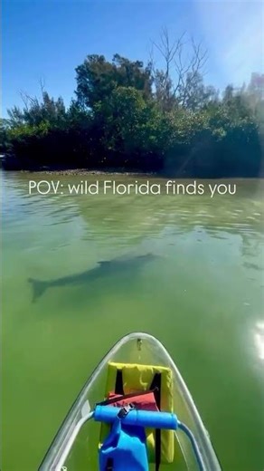 Switch up your Valentines Day this year and skip the age old dinner + movie & head to Shell Key!