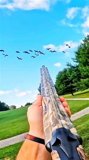 Watch till the end – perfect shot! 👀💥 #hunting #huntingvideo #huntingvideo