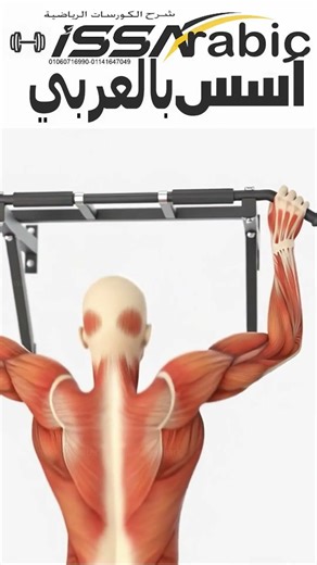 شرح كورسات المدرب الشخصي - اسس بالعربي