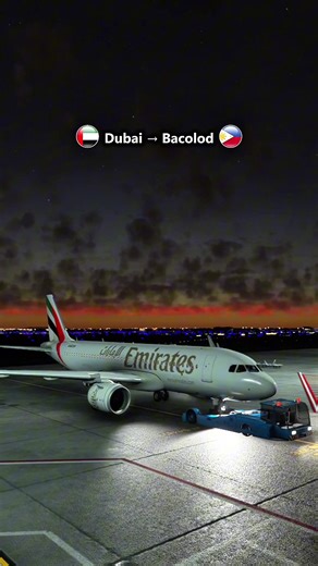 Dubai to Bacolod Flight Sim 10-Hour Journey