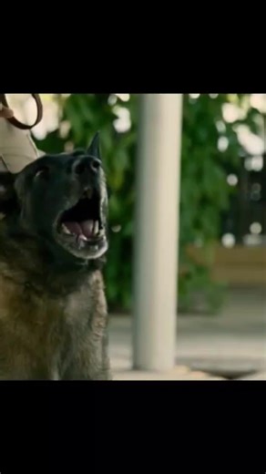 #film #movie #france🇫🇷 #francetiktok🇫🇷