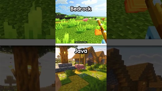 Minecraft Java (Actions & Stuff) vs Bedrock (Fresh & Smooth) ⛏️ #minecraft
