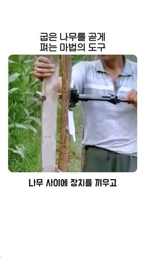 굽은 나무를 곧게 펴는 마법의 도구