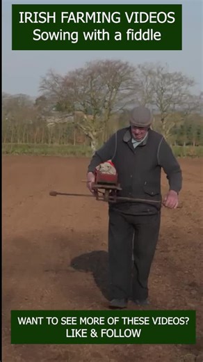 Sowing with the Fiddle #fiddle #traditional #fyp #irishfarming