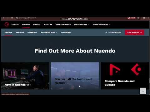 Steinberg Nuendo v14.0.41