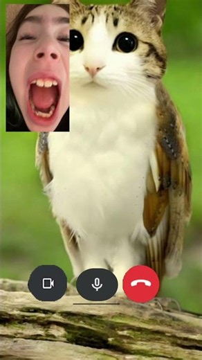 One bro calls me when I’m trying to play games