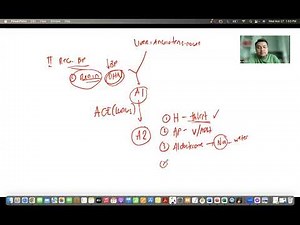 Anatomy of the Kidneys