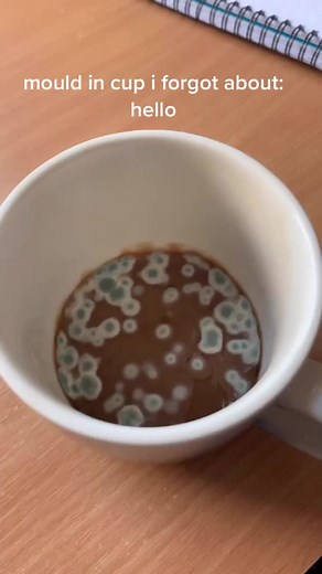 I know it’s not just me #fyp #featureme #gross #coffee #animalcrossing #embarrasing #tiktoktraditions