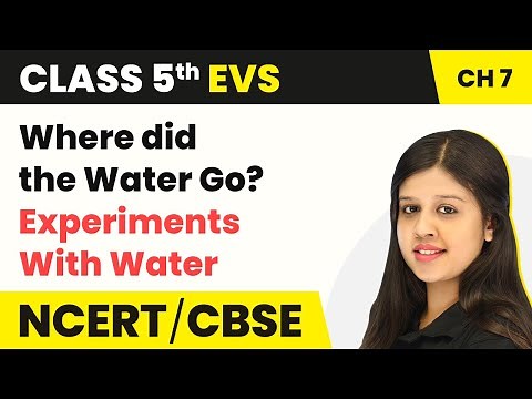 Where did the Water Go? - Experiments With Water | Class 5 EVS