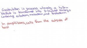 SOLVED: What is gastrulation? Describe gastrulation in amphibians. | Numerade