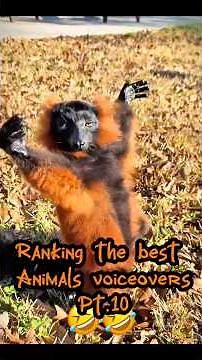 RANKING THE BEST ANIMALS VOICEOVERS PT.10🤣