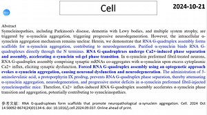 Cell—α-synuclein研究重磅：RNA G-四重链形成支架，促进病理性α-synuclein聚集