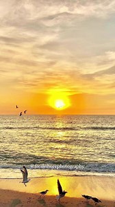 25K views · 140 reactions | We're excited to share that Turner Beach on  Captiva Island has reopened! Please find more information and current beach conditions here: https://bit.ly/3kIqPw9 | Visit Fort Myers | Facebook