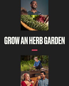 11K views · 203 reactions | Herbs fully loaded! Take your recipes to the next level with the addition of versatile herbs fresh from your garden. | MasterClass | Facebook