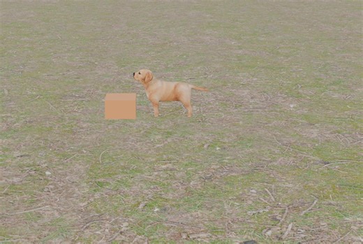 Dog Animation