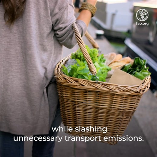 By 2050, 68% of people will live in urban areas. Find out how FAO’s #GreenCities Initiative is working to improve the well-being of people in 1000 cities by 2030, while making cities more sustainable and resilient to climate change. 🔗 https://ow.ly/9Z7E50Xk7lH #CitiesDay | Food and Agriculture Organization of the United Nations (FAO)