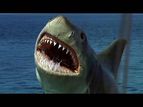 Jaws the revenge uncut ending