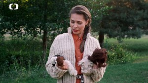 Lama alpaka je milé zvíře, které oživí zahradu, aniž by zničilo trávník. 🦙 Chovat je můžete pro radost a z jejich vlny spřádat klubíčko na výrobu pletených nezbytností na zahřátí. 🌱 Jsou velmi přátelské a dle zkušenosti paní chovatelky působí jejich přítomnost blahodárně na lidskou psychiku! | Herbář