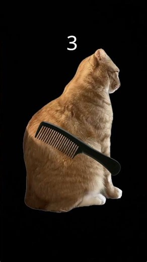 Tutorial on how to make the like button turn into a cat #cat