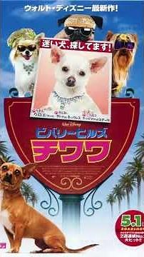 【映画紹介】ビバリーヒルズ・チワワ(原題：Beverly Hills Chihuahua)
