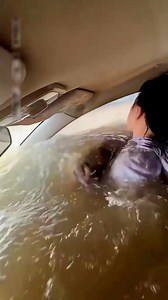 2.4M views · 71K reactions | Do You Trust Your Car to Keep You Safe? | BEAM Lab | Facebook