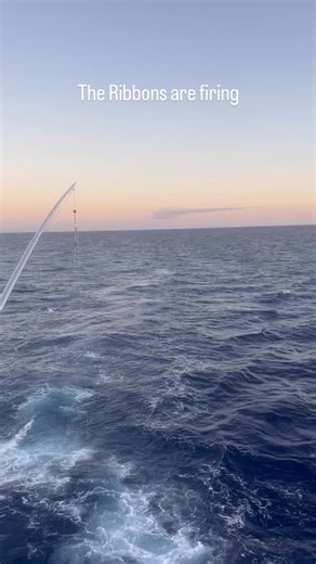 Tim Richardson on Reels
