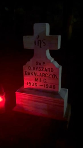 Why November Is the Month of the Holy Souls November is the month the Catholic Church dedicates to praying for the Holy Souls in Purgatory — our brothers and sisters who have died in God’s grace but still undergo purification before entering Heaven. The Catechism teaches, “All who die in God’s grace and friendship, but still imperfectly purified, are indeed assured of their eternal salvation; but after death they undergo purification” (CCC 1030). This purification, called Purgatory, is not punis