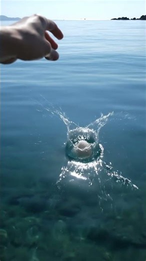 Sea shell 🐚🌊 #crochet #shell #heklanje #handmade