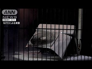 エアコン室外機破裂も…素人による工事に注意呼びかけ(2022年6月30日)