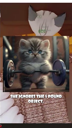 When my cat goes rogue 🤣😁👍#robloxgameplay #rblx #relatable #roblox #robloxrant