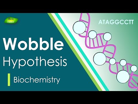 Wobble Hypothesis | Anti-Codon | BIOCHEM| Part-4 | Protein synthesis |