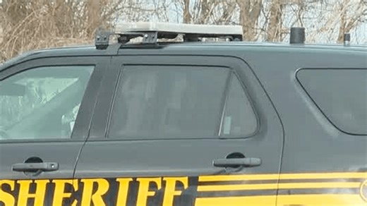 Dog knocks over bassinet, fatally bites 12-day-old Ohio boy