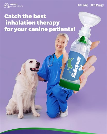 The AeroDawg* inhaler spacer’s technology moves fast but can you snap the perfect screenshot?   DROP your screenshot in the comments below and let’s see how fast you are making inhalation therapy easier for your canine patients! | Trudell Animal Health | Facebook