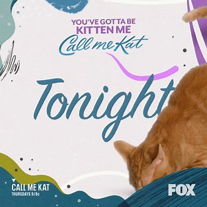 The more cat content, the better. 😍 New Call Me Kat episode TONIGHT! | Call Me Kat