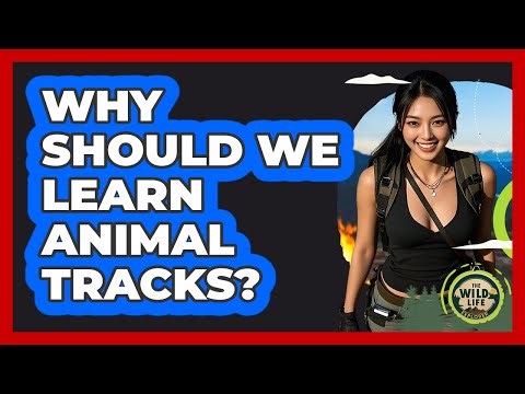 Why Should We Learn Animal Tracks?