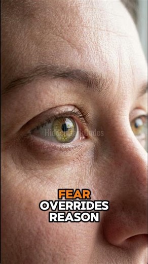 Why Humans Are Easier to Manipulate Than They Think