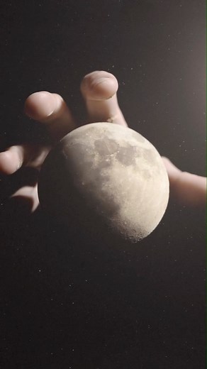 516K views · 5.1K reactions | Fragile Friend #moon | Macro Room | Facebook