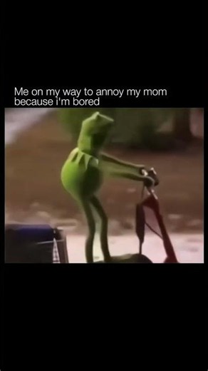 Share This Meme | With your Friends 😉 #shortvideo