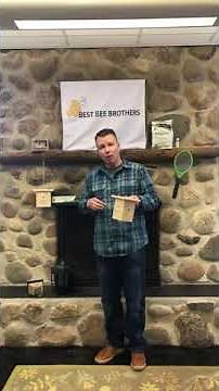 Attract More Bees to Your Carpenter Bee Trap