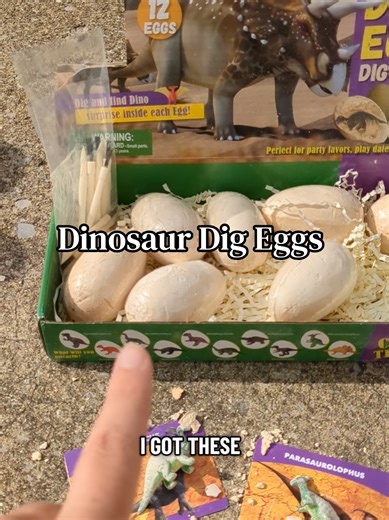 Dinosaur Dig Kit: Exciting Egg Discovery