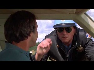 NATIONAL LAMPOON'S VACATION Dog Killer