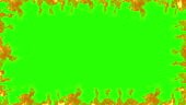 frame of real fire flames burn movement on chroma key, green screen...