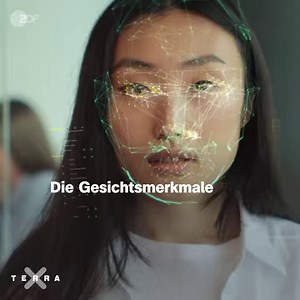 Wie sahen eigentlich die Neandertaler aus? Hinweise liefern nicht nur die Knochen - sondern auch die DNA. Die Studie findet Ihr hier: https://www.sciencedirect.com/science/article/pii/S1673852724001814?via=ihub | Terra X