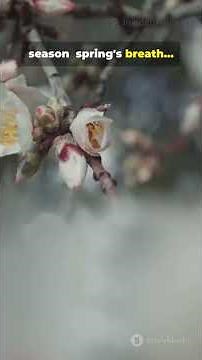 This Forest Changes Colors in 47 Minutes and Scientists Can't Explain It 🌲🎨