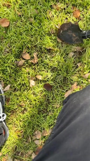 Unlock Hidden Treasures Anywhere. Our Metal Detector is ultra-accurate, lightweight, and perfect for beginners or pros. Find coins, jewelry, relics and more — right under your feet. Ready to discover what’s been hidden all this time? 👇 Get yours today. | Selvanna